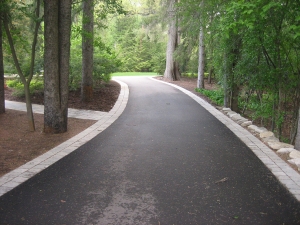 Brick paver border along driveway