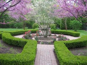 brick paver patio
backyard patio